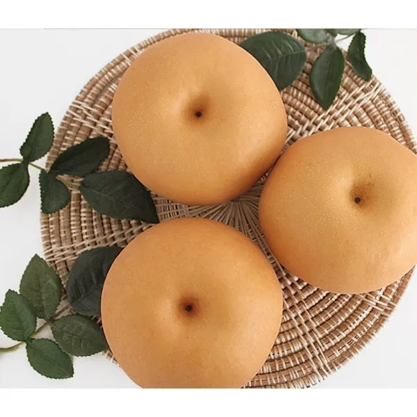 못난이배 가정용배 성환배 신고배 흠집배 3kg 5kg 15kg 선물세트 배5kg 과일