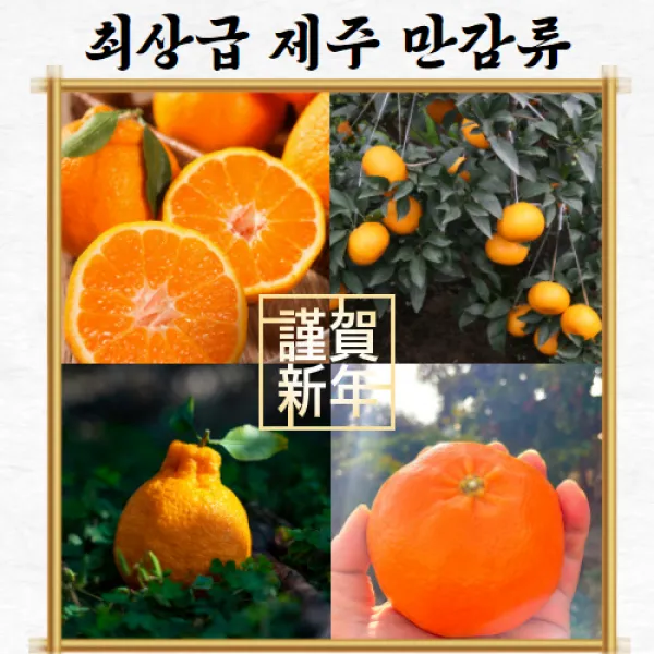 삼시세끼연구소 맛조수다게 제주 귤 레드향 한라봉 천혜향 타이벡감귤 산지직송 노지 감귤 제철 밀감 최상급 1.5kg 3kg 5kg 10kg, 최상급 천혜향
