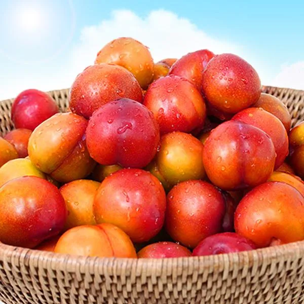 함초롬 [산지직송] 새콤달콤 햇 자두 2kg (25~45과)x2박스, 1
