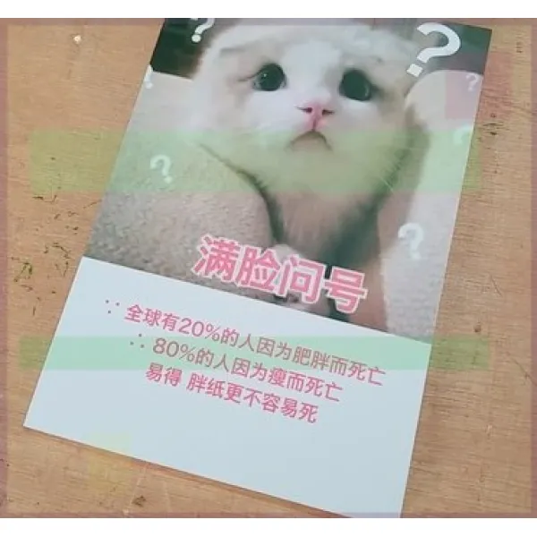개 부녀 네 나는 옭아매다 부호 의 환심 양 부자 너를 사랑하고 있다 만면 물음표 ？？？