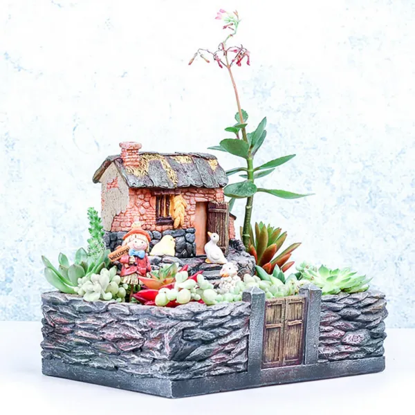 Zeyuan 안마당 Sedum 화분 창 상자 구유 냄비 즙 허브 꽃 침대 DIY, 없음