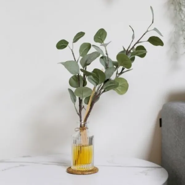 [텐바이텐] 플랜테리어 디퓨저 유카리폴리안 150ml 실내방향제 천연발효주정, 2. Destiny Muguet,추가하지 않을게요,축하카드