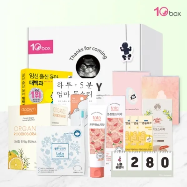 텐박스 임신초기박스 (1~3개월)-임산부/임신축하선물