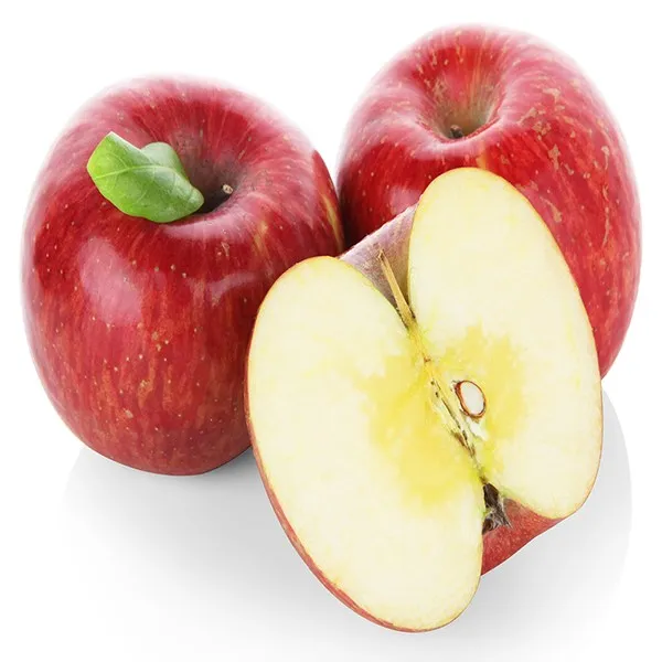 늘품 햇 꿀맛 부사 사과 5kg 10kg 1개 07.늘품 햇 꿀맛 부사 꼬마 10kg 56 65과 