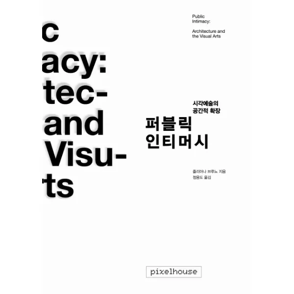 퍼블릭 인티머시:시각예술의 공간적 확장, 픽셀하우스