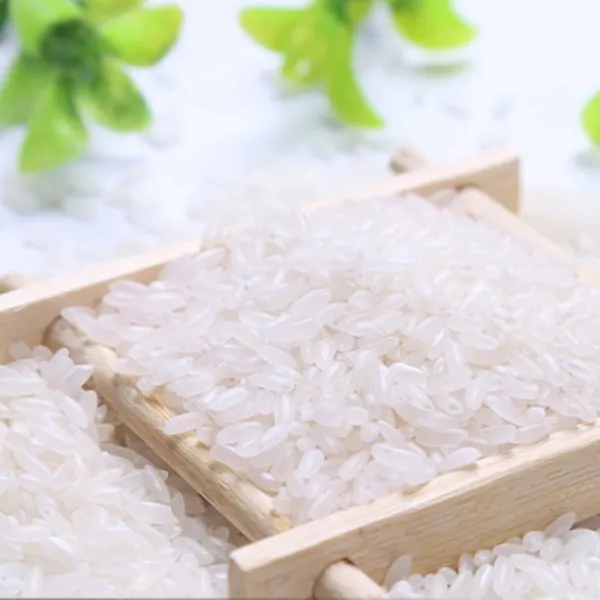 에이로봇 올가푸드 오상 유기농쌀 5kg 북동쌀 유기농, 단품