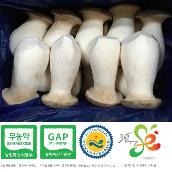 새송이는마니꺼 새송이버섯, 1box, 2kg상