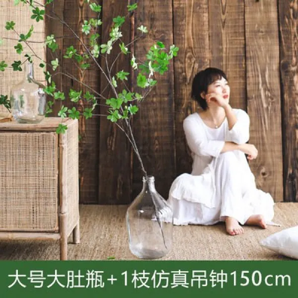 유리병 종을 매달다 꽃병 노르딕 심플 마취목 나뭇가지 꽃꽂이 탁상 수배 착지 수반 3865230385, 시멘트