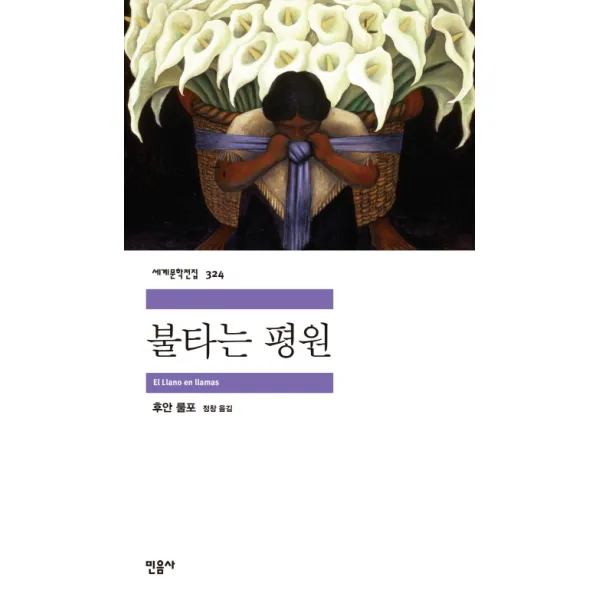 불타는 평원, 민음사