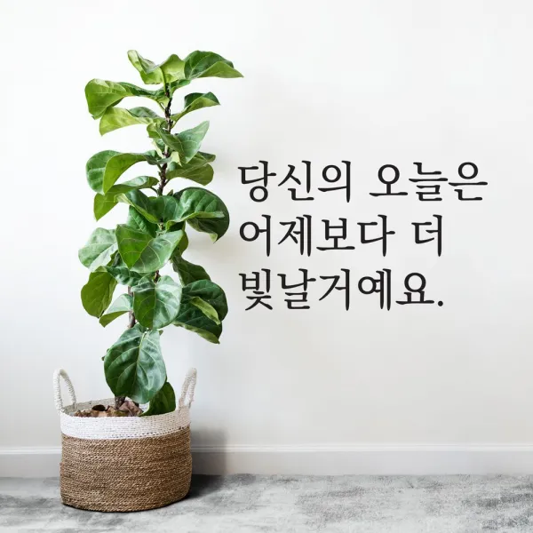 데이플레인 감성문구 레터링 인테리어 스티커 [01당신의오늘은], 블랙
