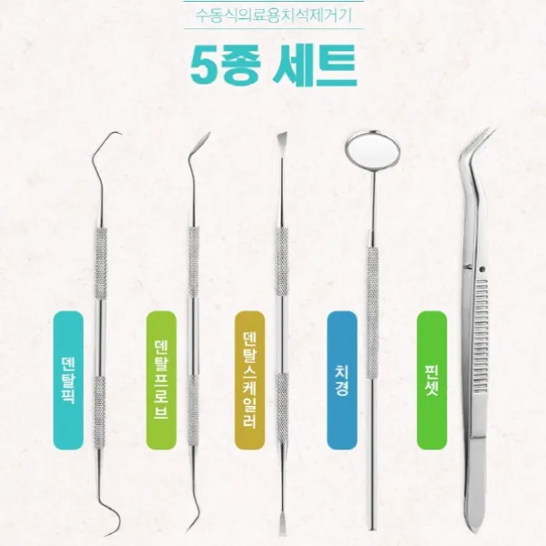 가정용 셀프 치석제거기 의료용 치석제거 스케일러 1세트 Dental Scaler