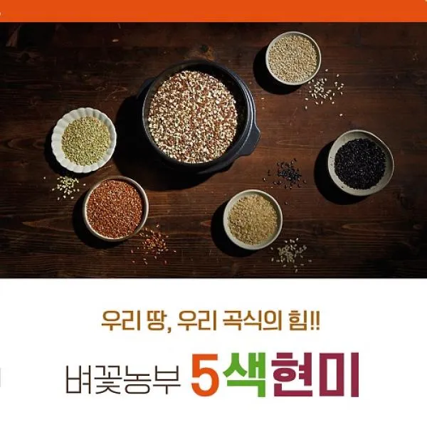 기타 2021 벼꽃농부 오색현미 500g*21봉, 1