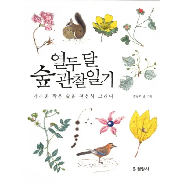 열두 달 숲 관찰일기:가까운 작은 숲을 천천히 그리다, 현암사