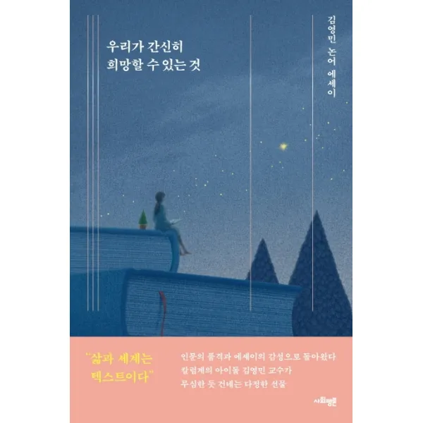 우리가 간신히 희망할 수 있는 것:김영민 논어 에세이, 사회평론