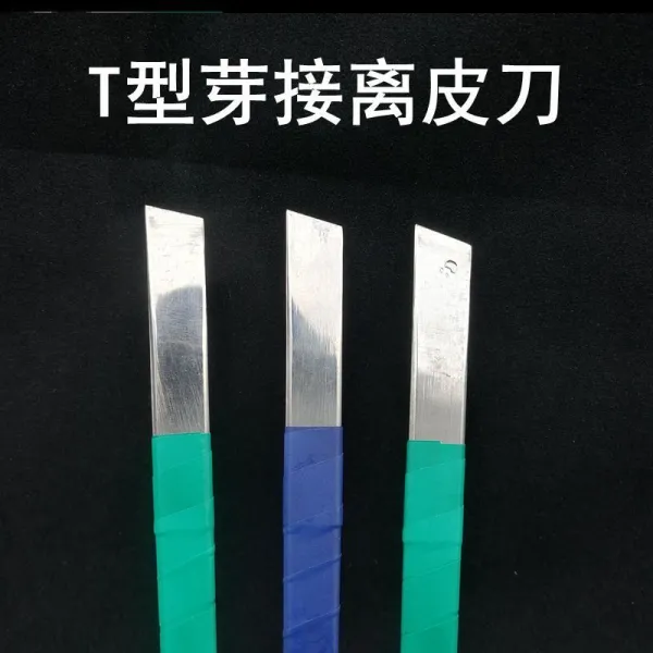 지니네꿈꾸는공방 셀로판테이프혜성 모찌 종이 막 열매트리 전용 접착 월계 아접 면함 뜯다 장미 투명, T형 싹 분리되다 가죽 도구 헤어지다