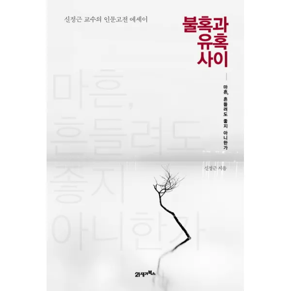 불혹과 유혹 사이:마흔 흔들려도 좋지 아니한가, 21세기북스