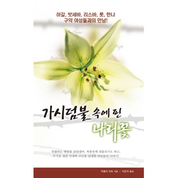가시덤불 속에 핀 나리꽃:하갈 밧세바 리스바 룻 한나 구약 여성들과의 만남, 솔라피데출판사
