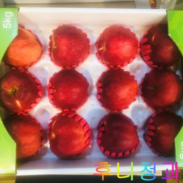 [후니청과] 명절 추석맞이 5kg 사과(홍로) 선물세트, 18내외과