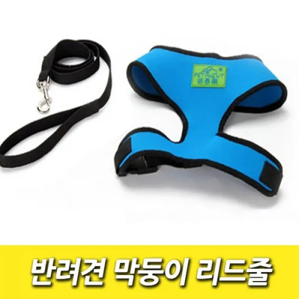 [이클라쓰] 반려견 막둥이 리드줄 애견용품 강아지용품 가슴줄 애완용품 외출용품 애완목줄 개줄 애견세트 가죽목줄 목걸이줄 애완동물, 블루