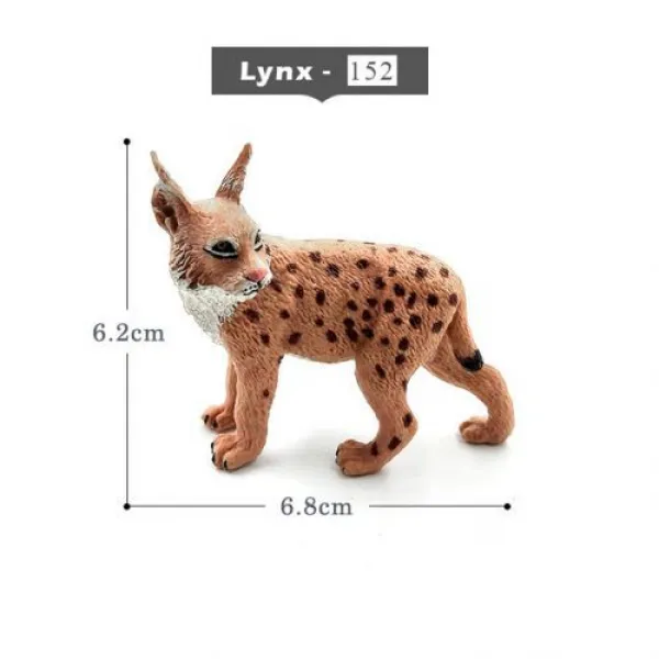 [해외] 사슴 Warthog 살쾡이, Lynx