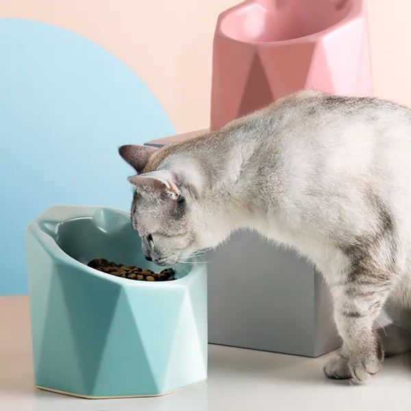어반30 강아지 고양이 밥그릇 눈을 가늘게 뜨고 기하급수적인 식대 높은 발 보, 1개, 수유분(200ml)L 대형