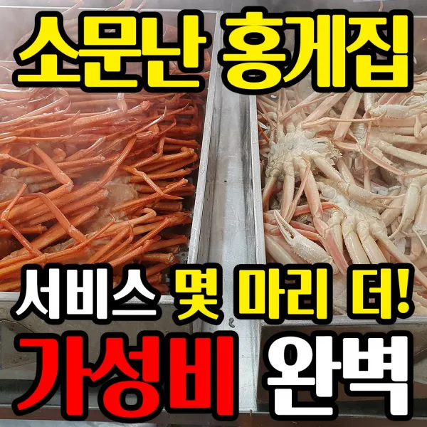 [소문난 홍게 맛집] 구룡포 홍게 3kg 5kg 생물 자숙 산지직송 수율보장 빠른배송 선주직송 감동수산, 가성비 실속형 3kg 10마리