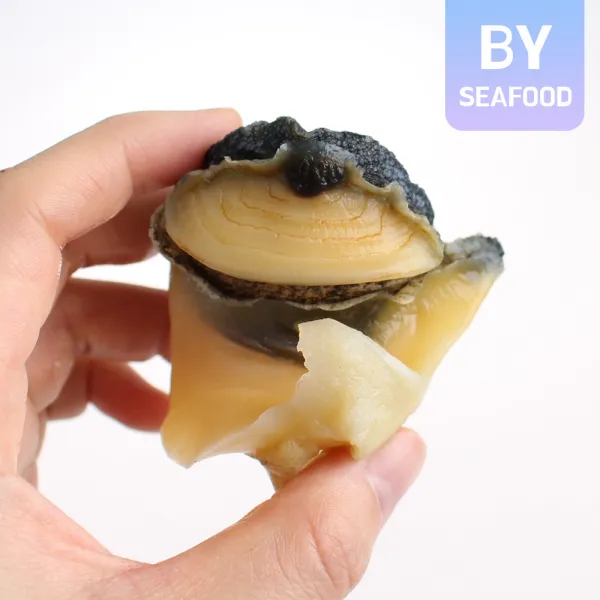 참소라 자숙탈각 1Kg 피뿔고둥살