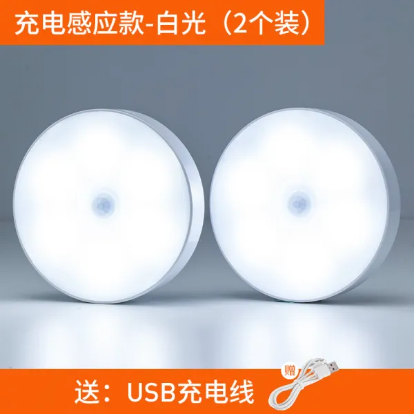 헬쏭 스마트 인체감지 야등 LED 음향제어 조명 배터리식 가정용 과용 제어, 옵션10