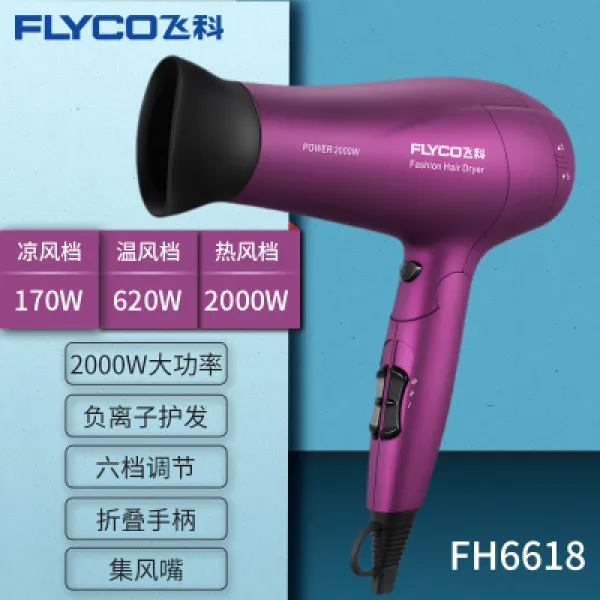 비과 가정용 고출력 폴딩 춥다 열풍 머리를보호 머리상하지 않는 소음방지 전기 Fh6618 고귀한 보라색 있음