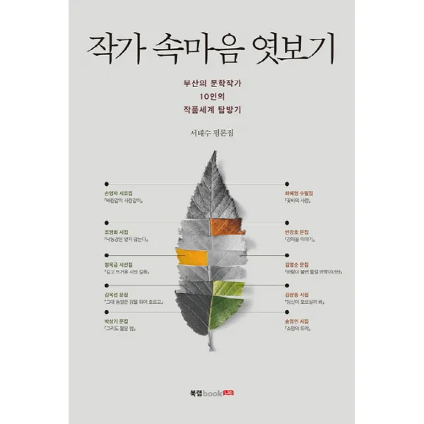 작가 속마음 엿보기:서태수 평론집, 북랩