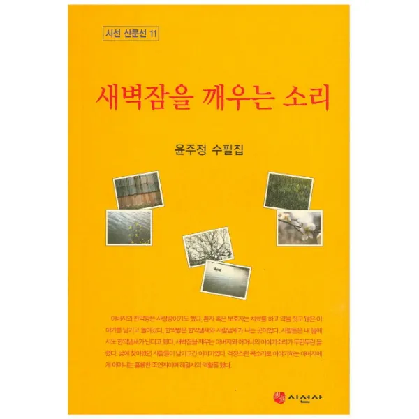 새벽잠을 깨우는 소리:윤주정 수필집, 시선사