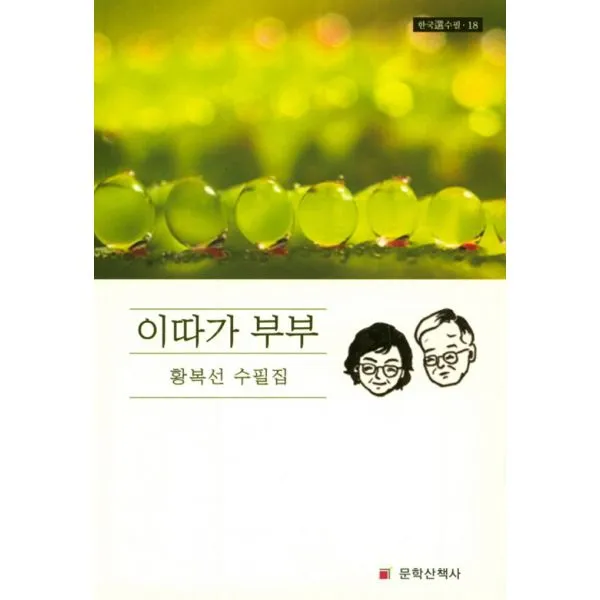 이따가 부부 : 황복선 수필집, 문학산책사
