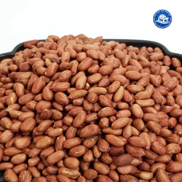 장수왕 국산 볶음땅콩 1kg,햇 땅콩 볶은땅콩 구운땅콩 견과류, 1봉, 1kg