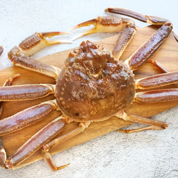 (찜 가능) 동해항 산지직송 활게 최상A급 러시아대게 스노우크랩 속이꽉찬 수율80% 이상 2kg(1~2마리)
