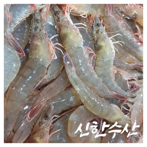국내산 냉동 생새우 왕새우 대하 흰다리새우 40 48미 1박스 1kg 28 35미내외 급냉 한정판매 