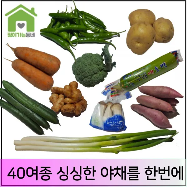 정이가는동네 청양고추 양파 생강 고구마 감자 야채 채소 소량씩 묶음배송, 1세트, 적상추&청상추 100g