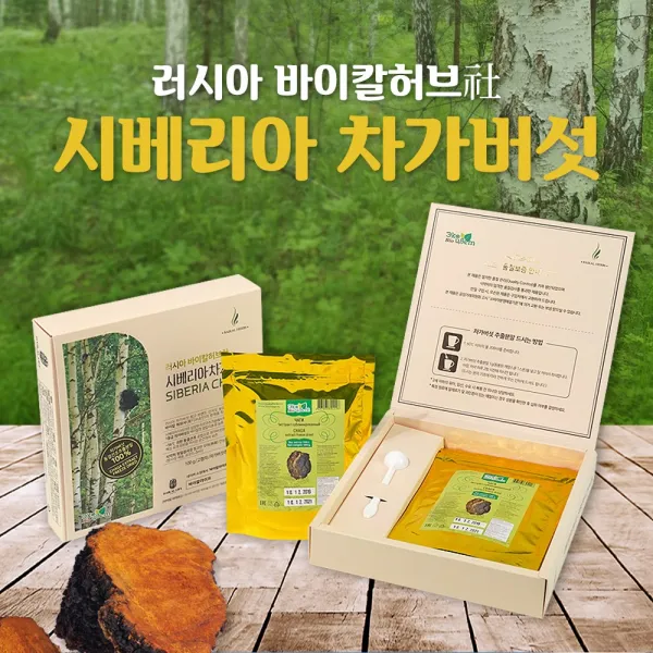 프리미엄 1등급 추출분말 100g 러시아산 차가버섯 분말 시베리아차가버섯, 1개