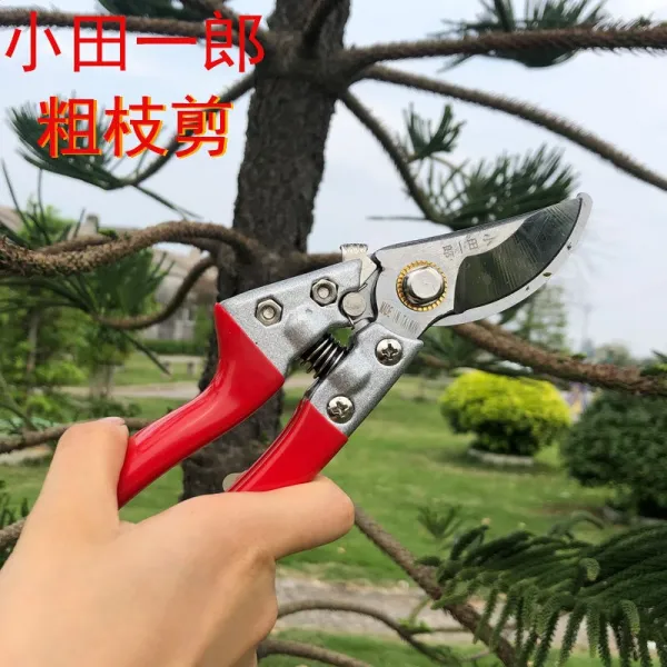 나무가 굵다 가지 가위다 칼원림 화예 자르는 원예가위 칼손질 도구 꽃가위, 소전 이치로 V8 굵은 가지가위