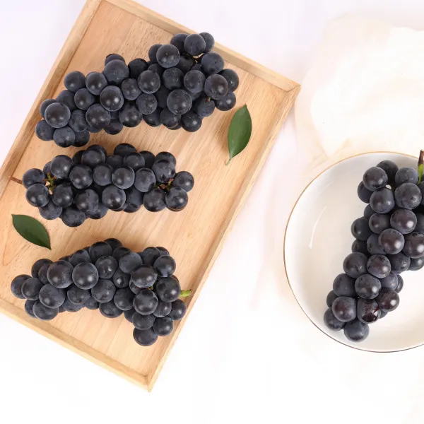 당일선별 송산포도 대부도포도 상주모동포도 캠벨 포도1.3kg~1.5kg,2.8kg~3kg