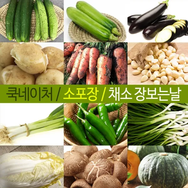 쿡네이처 [장보는날 소포장 채소]오이 애호박 감자 당근 브로콜리 고추 대파 무 마늘 버섯, 19. 제주 적양배추 중 1통