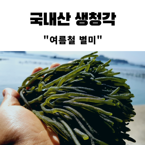 현옥이네 자연산 생청각(3KG 5KG 10KG 20KG), 1box, 자연산생청각3KG