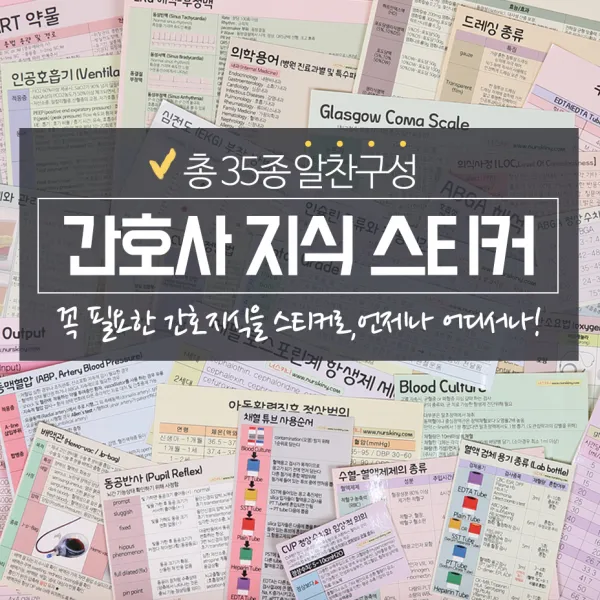 너스키니 간호사용품 간호사 지식 스티커 30종 간호사스티커, 세트몽땅구매(35종)