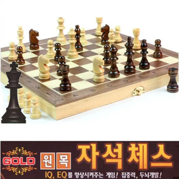 대신전자 고급원목 자석체스 골드 두뇌개발 IQEQ향상 세트