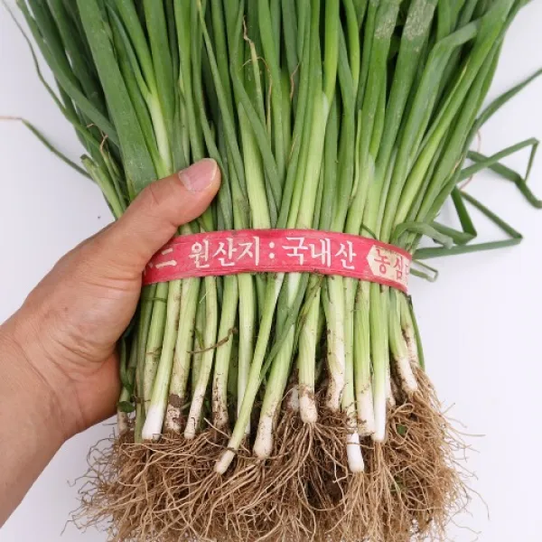 실파 1.5kg내외 팔팔마켓 국산 가랑파 1단 실파 한단, kg