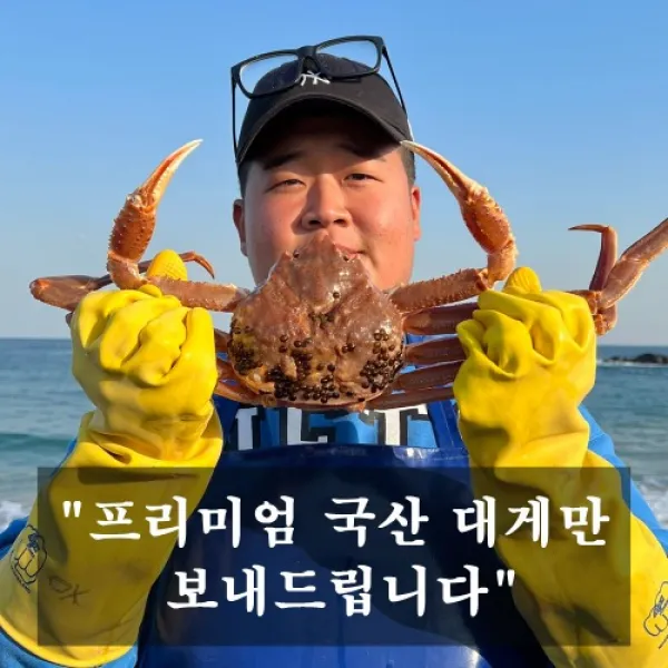 [프레시파머스] 산지직송 프리미엄 최상급 포항 국산 대게 영덕 박달 대게 선주 직송 택배 (9006)