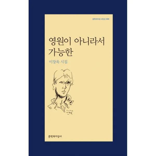 영원이 아니라서 가능한:이장욱 시집 문학과지성사
