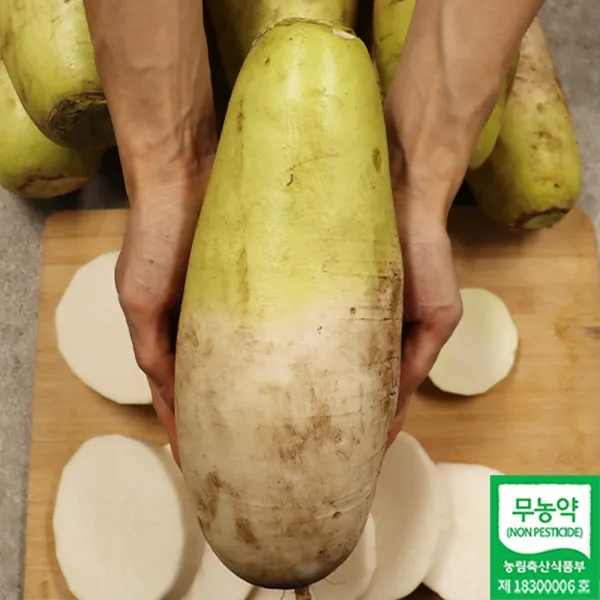 아삭달달한 제주 무농약재배 햇 흙 무 10kg 5kg 발송당일수확 산지직송 제주무 햇무, 제주 무농약 무 5kg