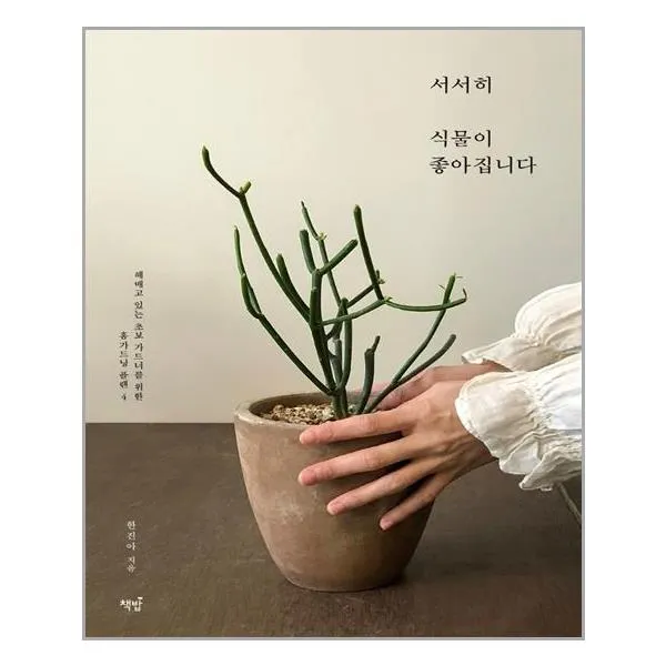 책밥 서서히 식물이 좋아집니다 (마스크제공), 단품