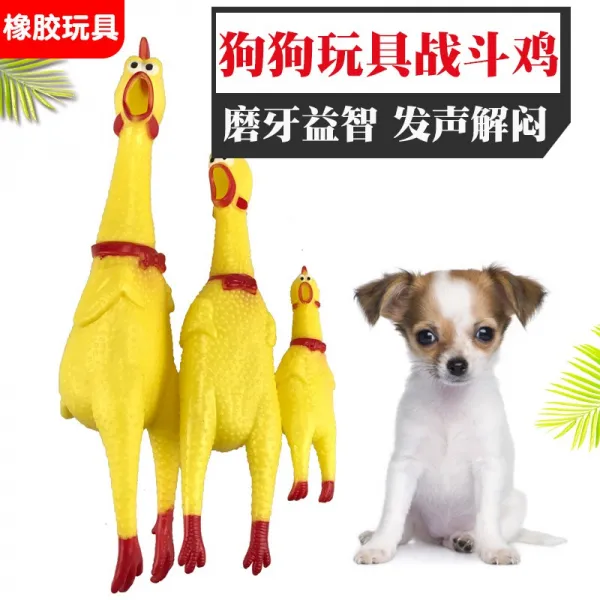 유니팡 애완동물용품 애완동물 펫 강아지 완구 괴성 닭 비명 칠면조 엽기닭 미친닭 삑삑이 소리나는닭 싸움닭 소리나는 테디, 큰사이즈 라지