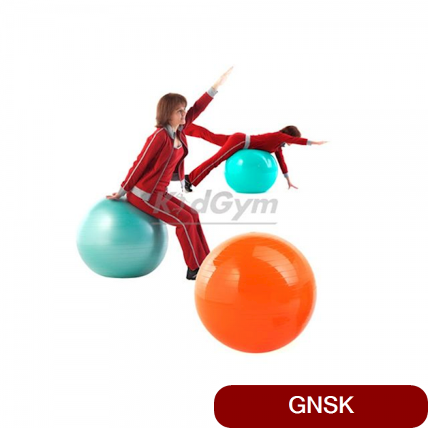 키드짐 짐나스틱볼55 주황 cm 대근육운동 균형감 스포츠완구 소프트볼 볼 공 스트레칭